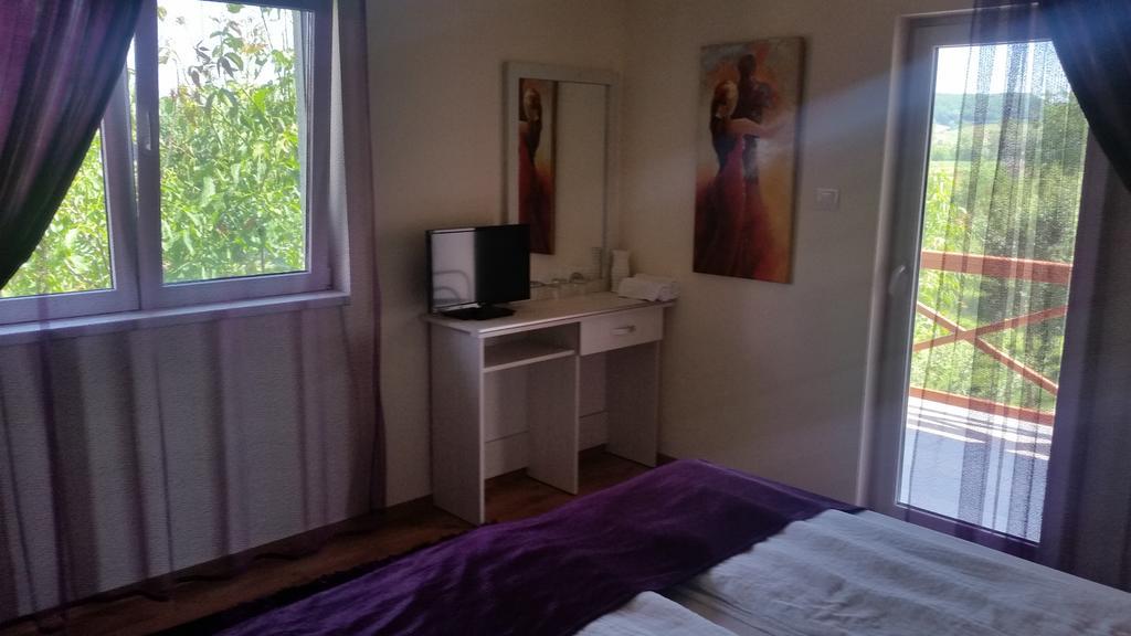Hotel Casa Agnes Vendeghaz Fantanele  Habitación foto